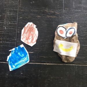 Pet rock starter set, for kids all ages